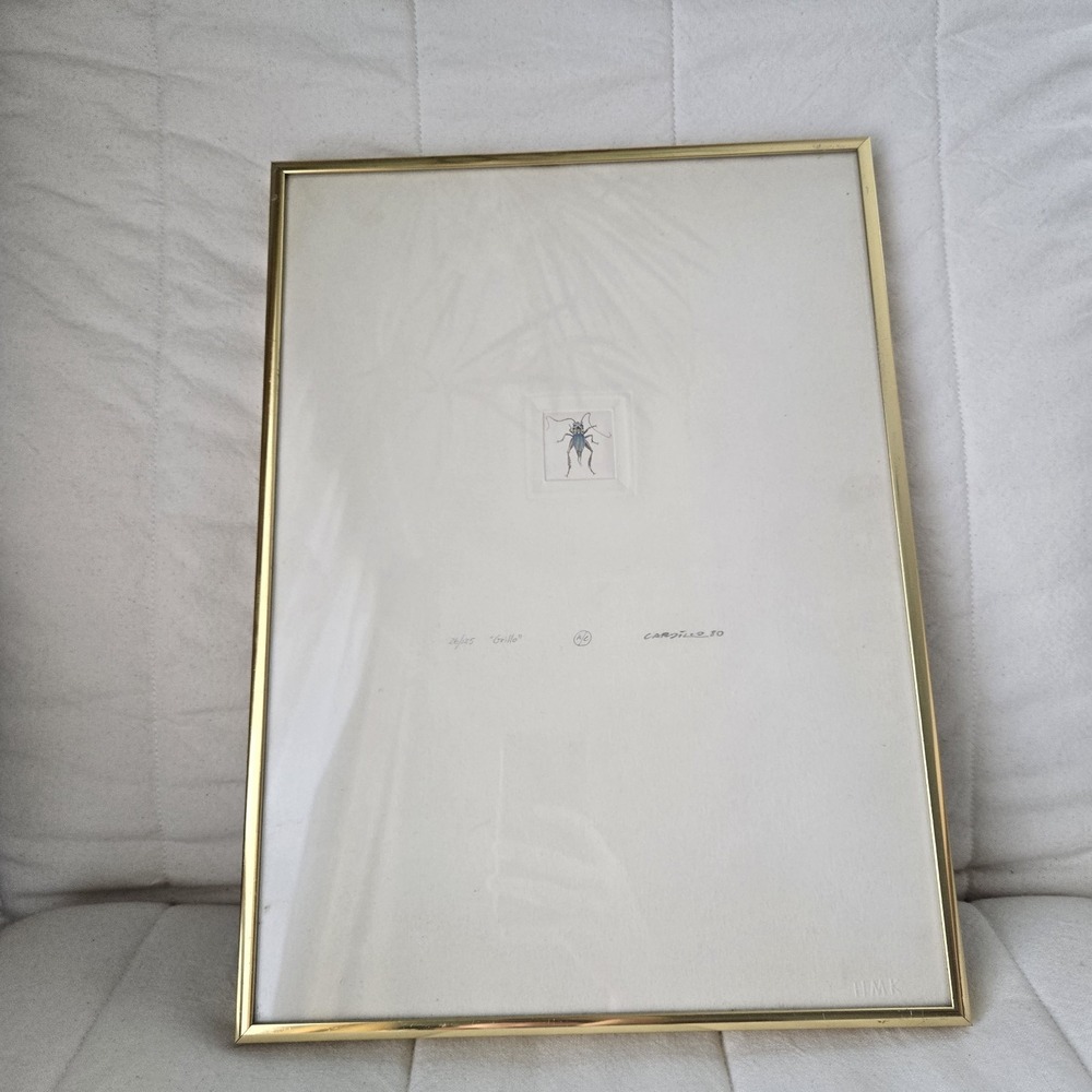 Rimer Cardillo Color Aquatint Etching Print Insect Grillo Bug Framed. Rare